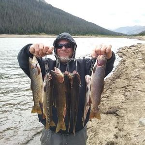 Meet your Posher, Ed